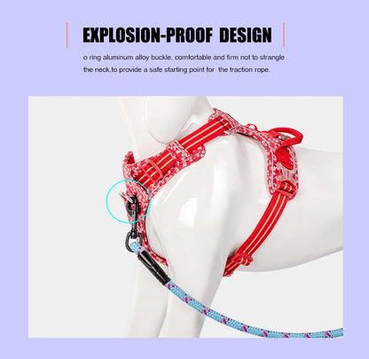 BloomTrail Floral No-Pull Dog Harness