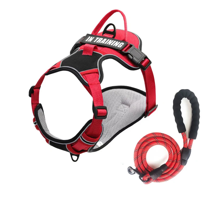 NightGuard Reflective Padded Vest Harness