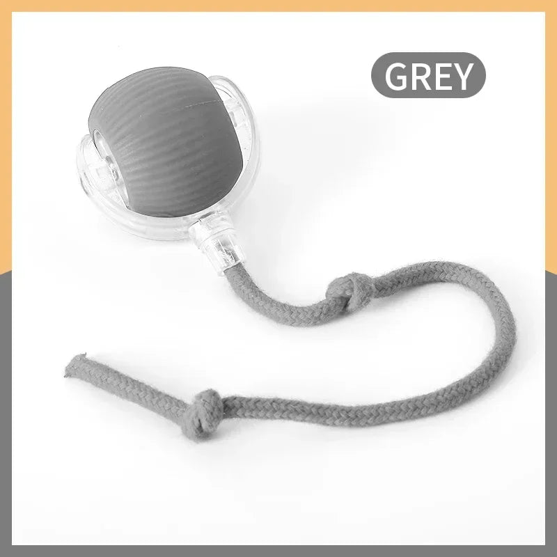 Interactive Ball Toy for Cats & Dogs