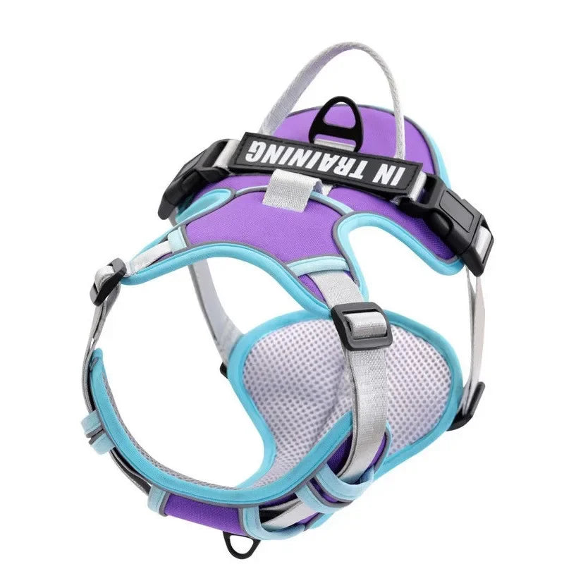 NightGuard Reflective Padded Vest Harness