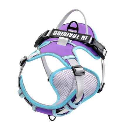 NightGuard Reflective Padded Vest Harness