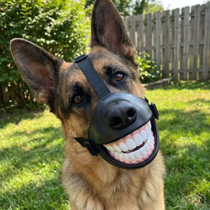 Grinning Dog Muzzle
