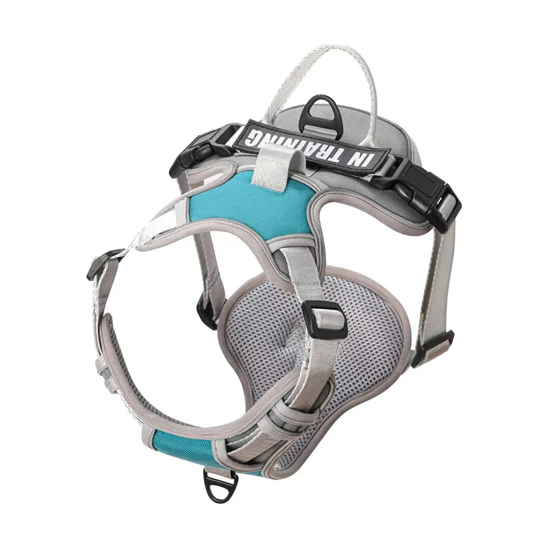 NightGuard Reflective Padded Vest Harness