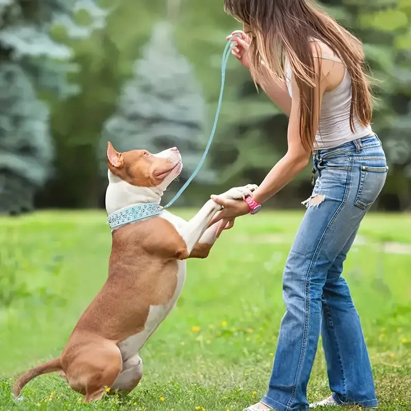 SpikeGuard Dog Collar Set