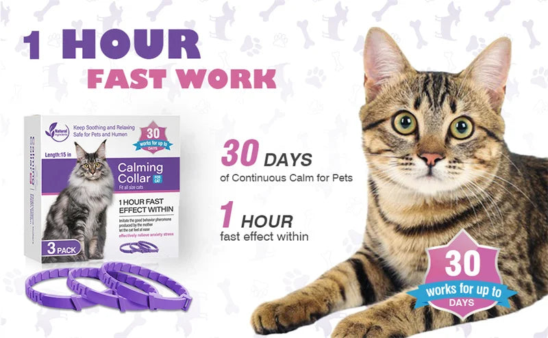 CalmCollar Pheromone Set