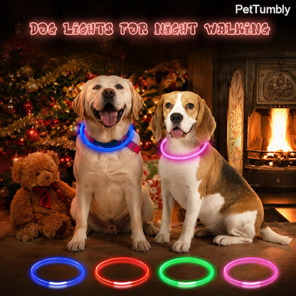 USB Rechargeable LED Glow Collar for Dogs