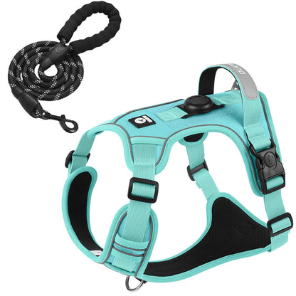 TrackSafe Harness & Lead Set with AirTag Holder