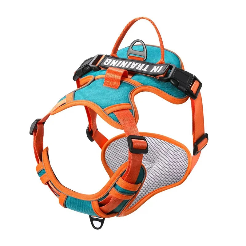 NightGuard Reflective Padded Vest Harness