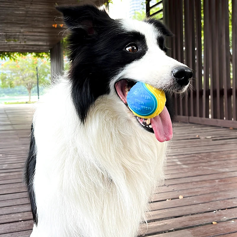 Squeaky Dog Chew Ball