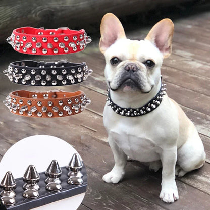 RivetLux Leather Dog Collar