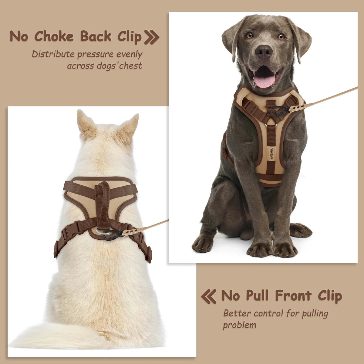 EasyStride No-Pull Dog Harness