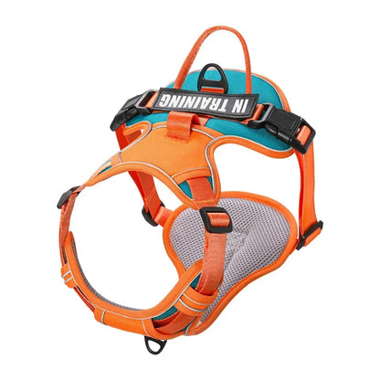 NightGuard Reflective Padded Vest Harness