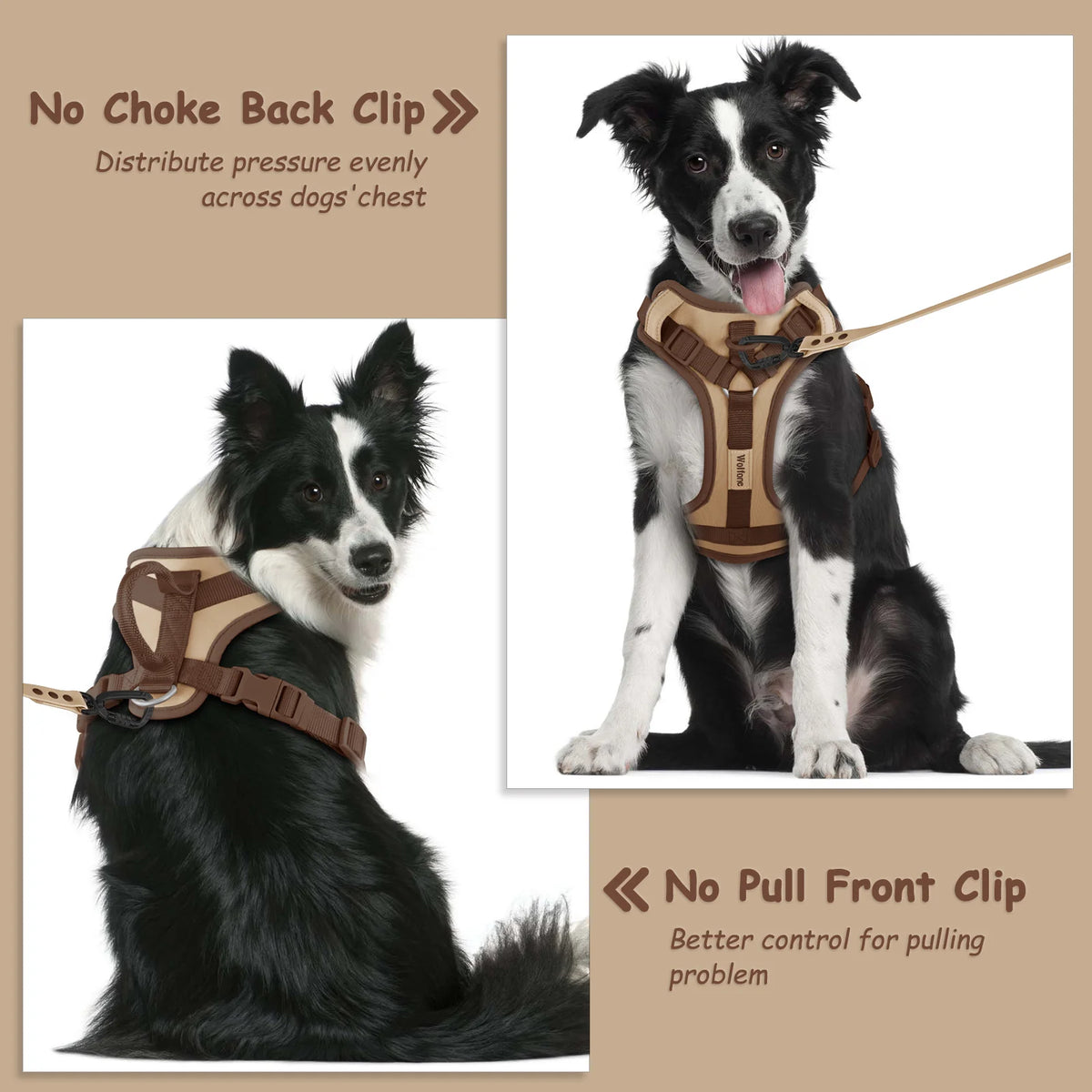 EasyStride No-Pull Dog Harness