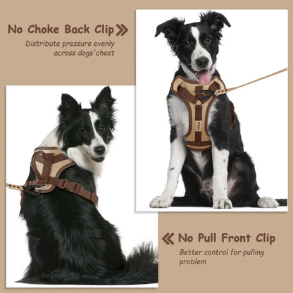 EasyStride No-Pull Dog Harness