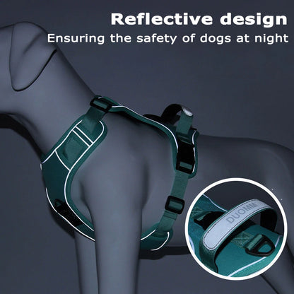 TrackSafe Harness & Lead Set with AirTag Holder