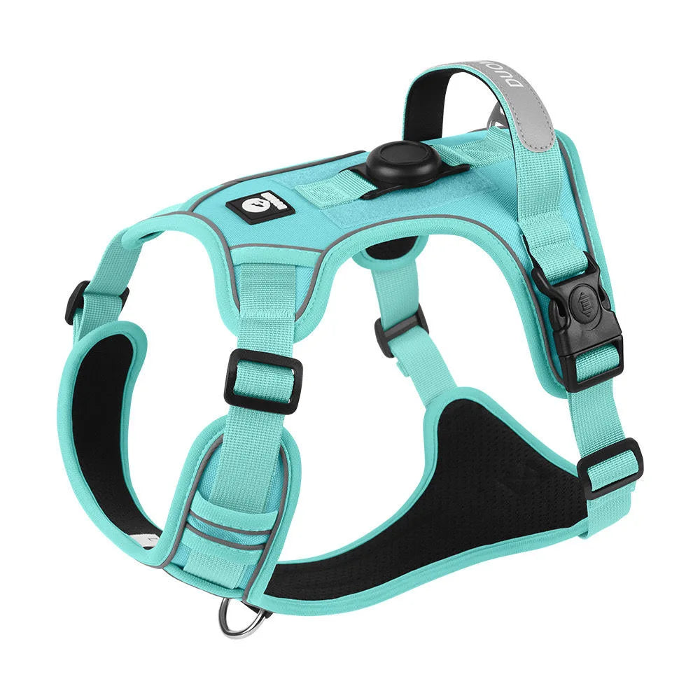 TrackSafe Harness & Lead Set with AirTag Holder