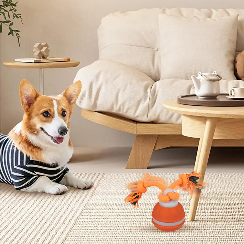 Interactive Motion-Activated Dog Ball Toy