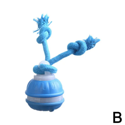 Interactive Motion-Activated Dog Ball Toy