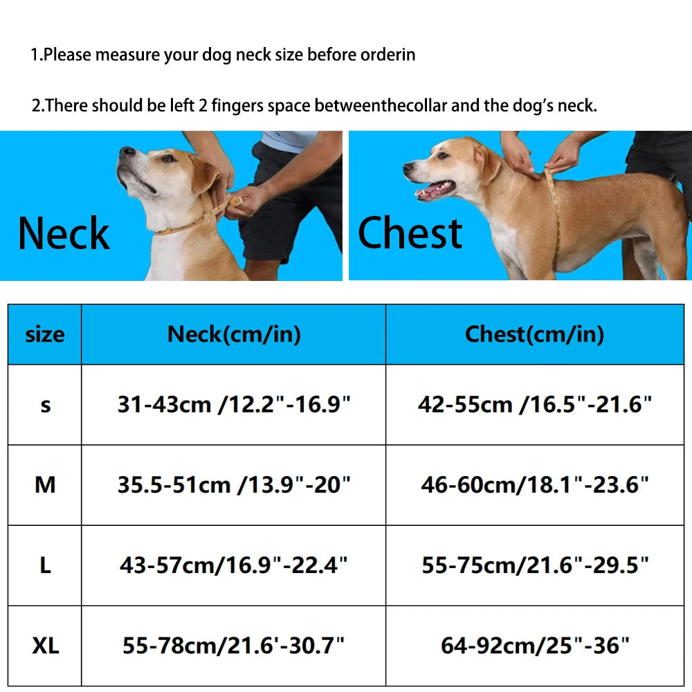EasyStride No-Pull Dog Harness