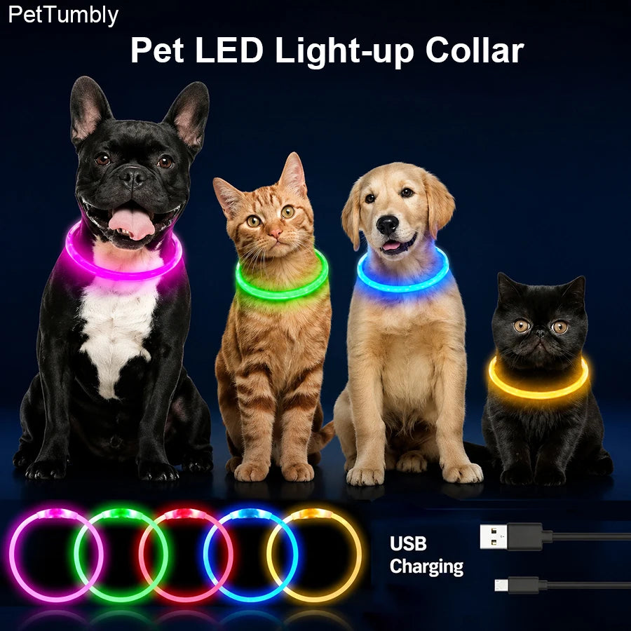 USB Rechargeable LED Glow Collar for Dogs