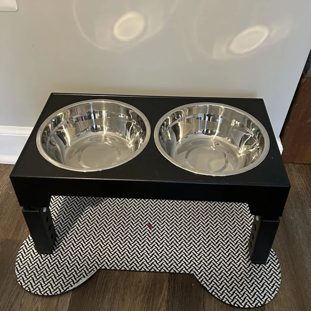 RaiseDine Elevated Dog Bowls
