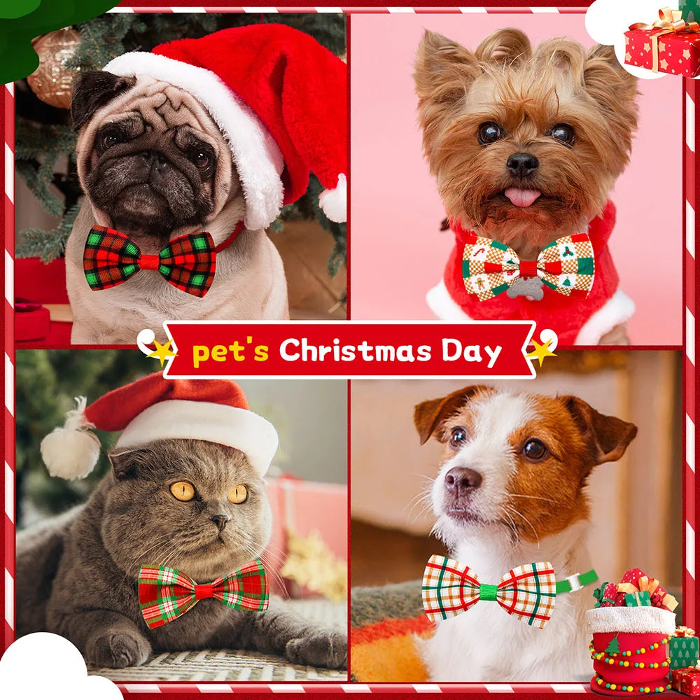 TartanTail Dog Bow Ties