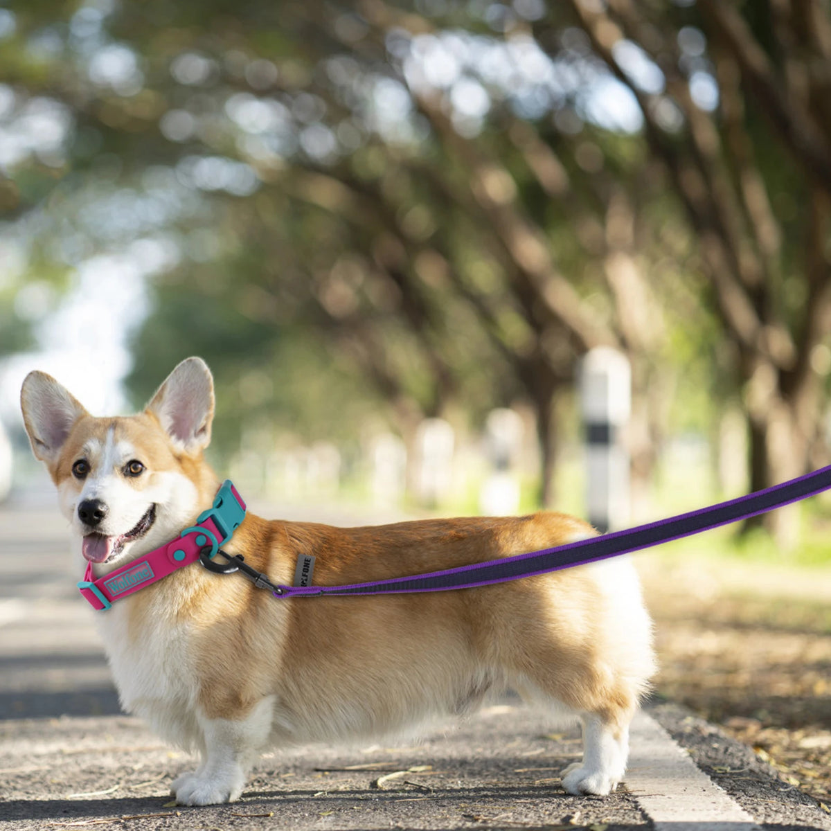 TrailRun Long Line Dog Lead (up to 15m)