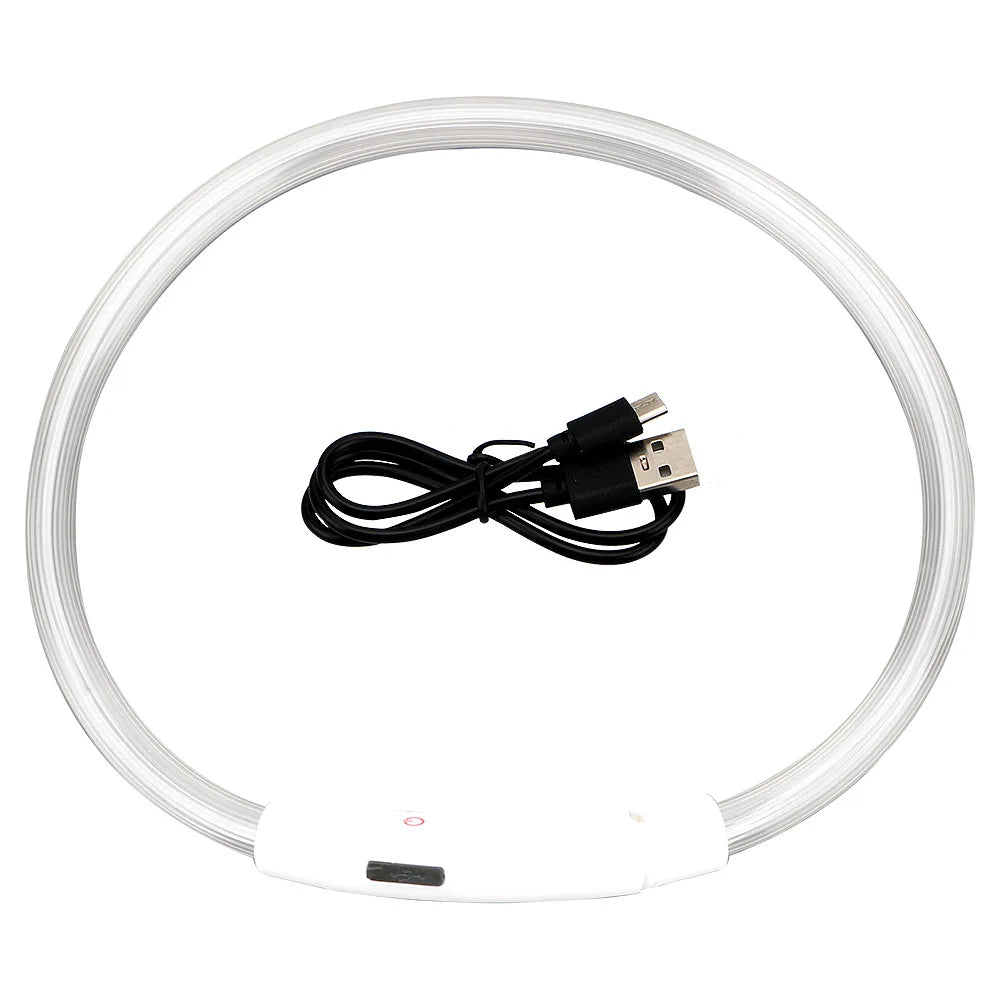 USB Rechargeable LED Glow Collar for Dogs