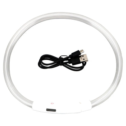 USB Rechargeable LED Glow Collar for Dogs
