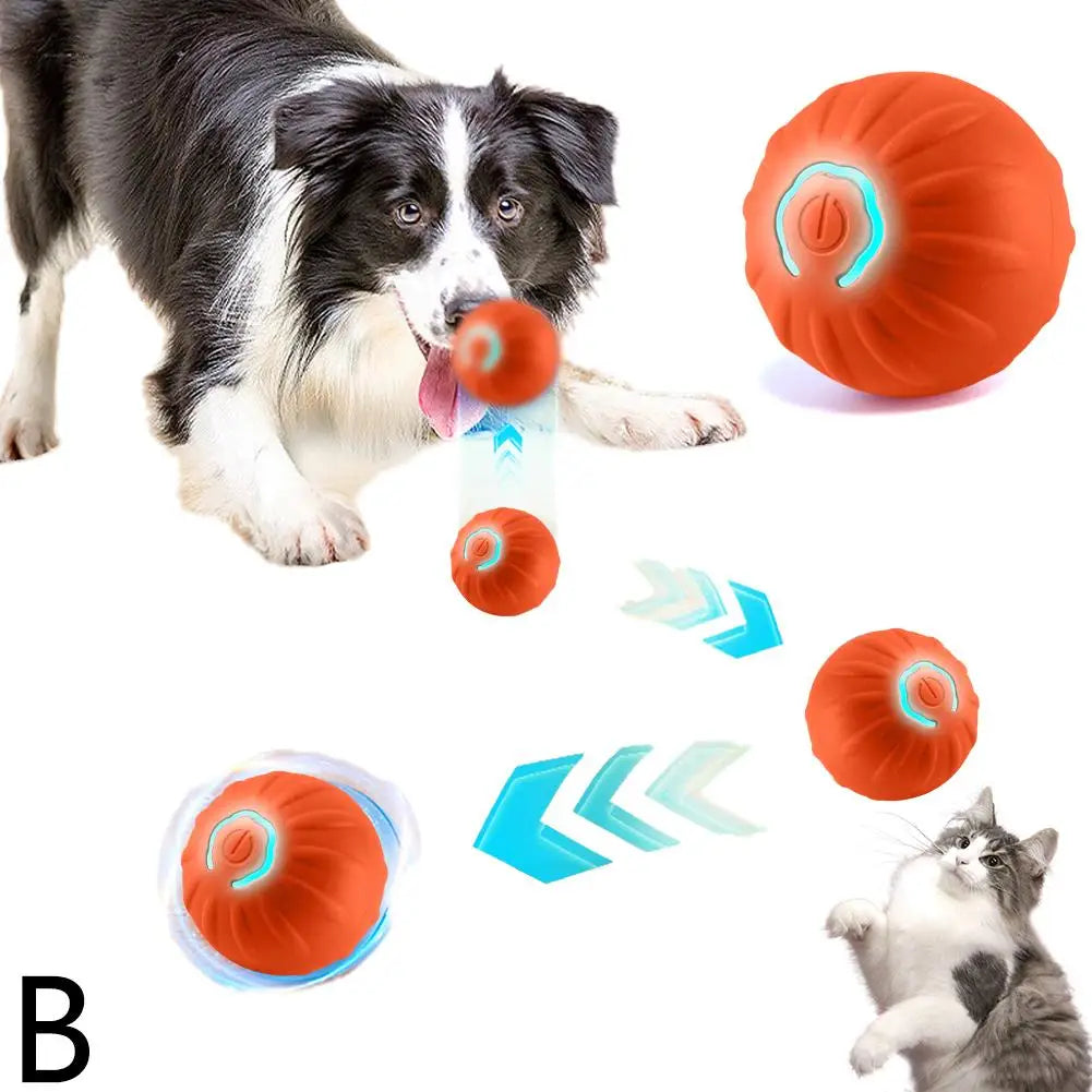 Interactive Motion-Activated Dog Ball Toy