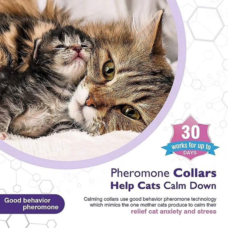 CalmCollar Pheromone Set