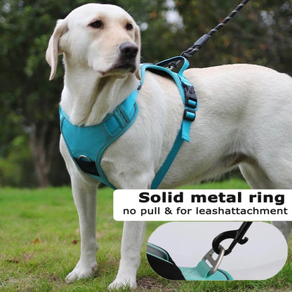 TrackSafe Harness & Lead Set with AirTag Holder