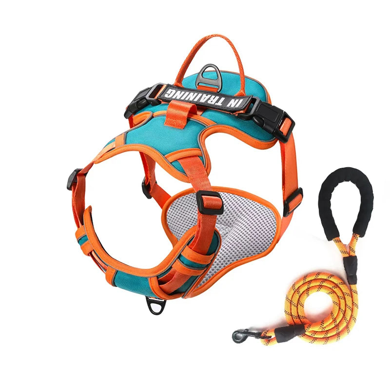 NightGuard Reflective Padded Vest Harness