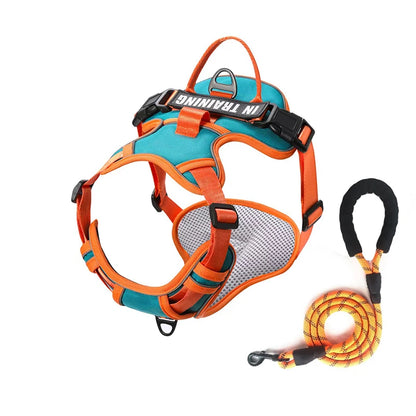 NightGuard Reflective Padded Vest Harness