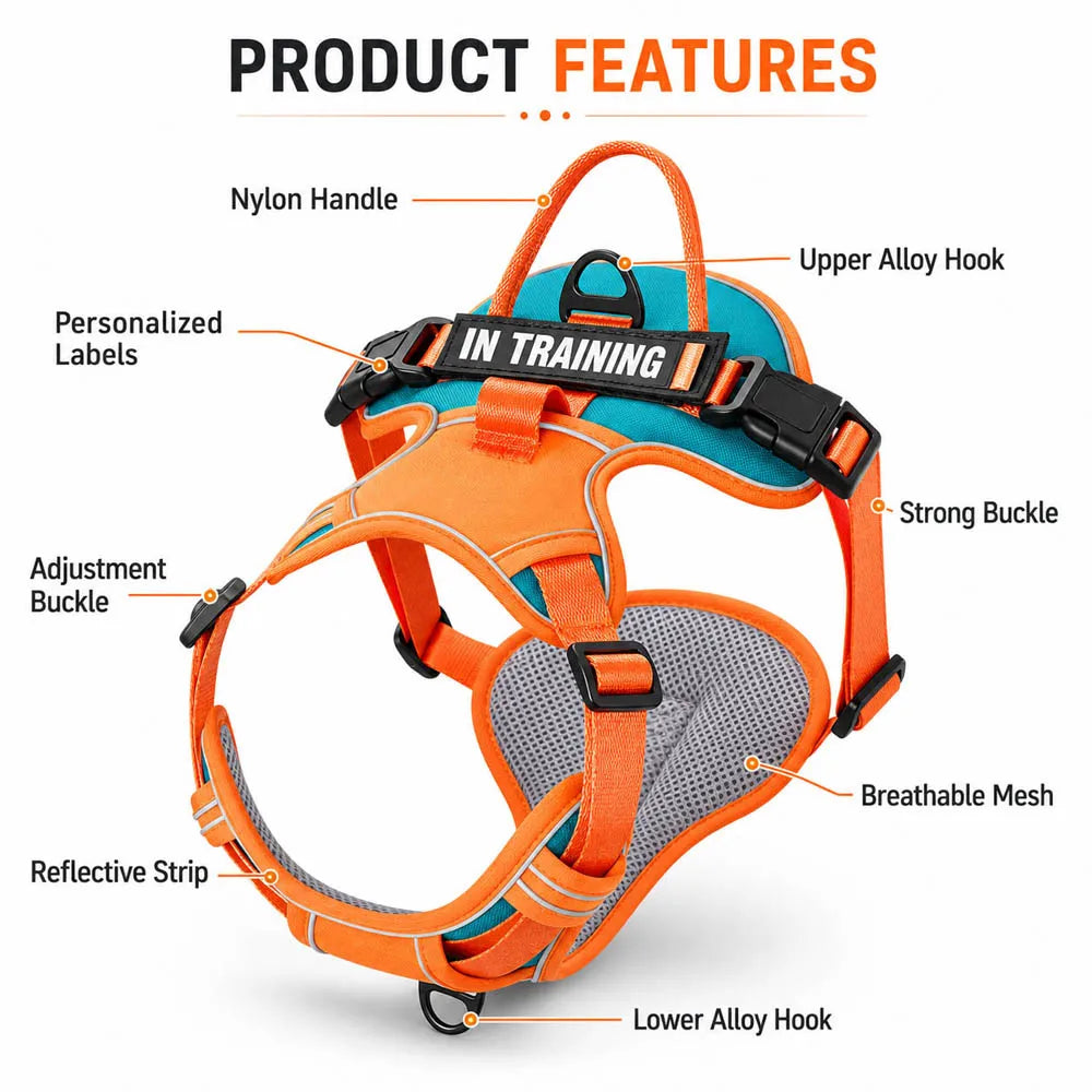 NightGuard Reflective Padded Vest Harness
