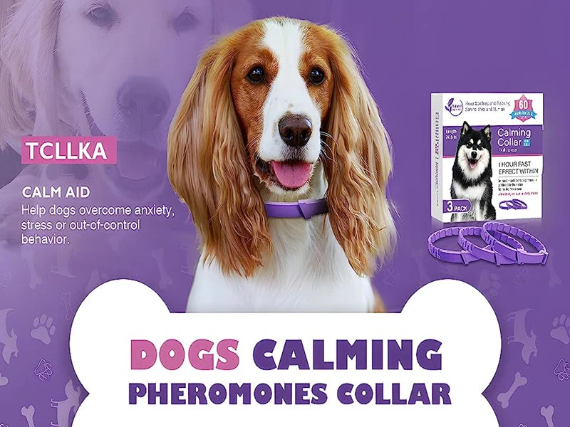 CalmCollar Pheromone Set