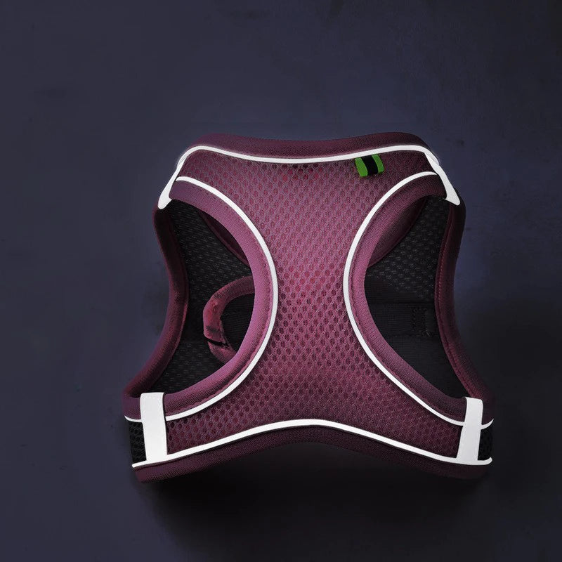 SafeStride Reflective Dog Harness