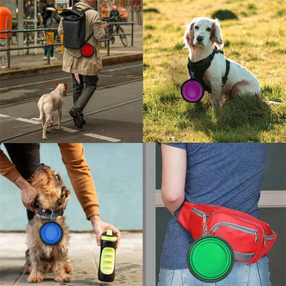 Collapsible Silicone Travel Bowl for Pets