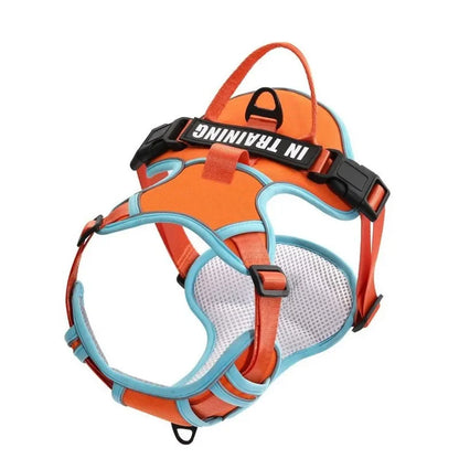 NightGuard Reflective Padded Vest Harness