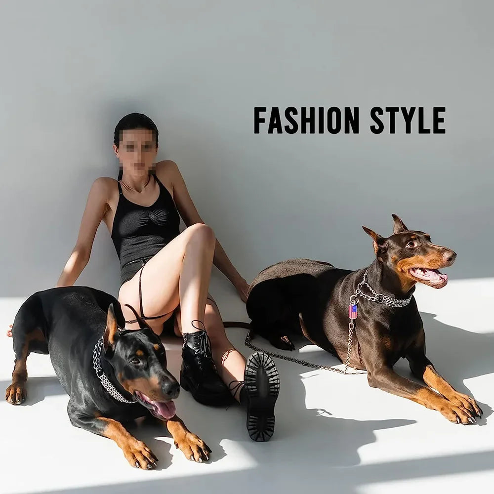 CubanLink Steel Dog Collar