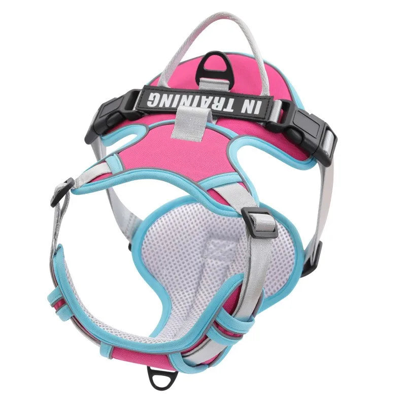 NightGuard Reflective Padded Vest Harness