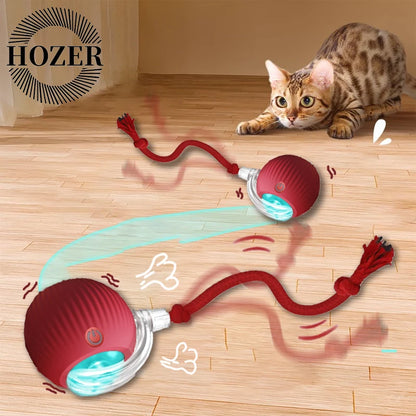 Interactief rollend speelgoed voor katten en honden