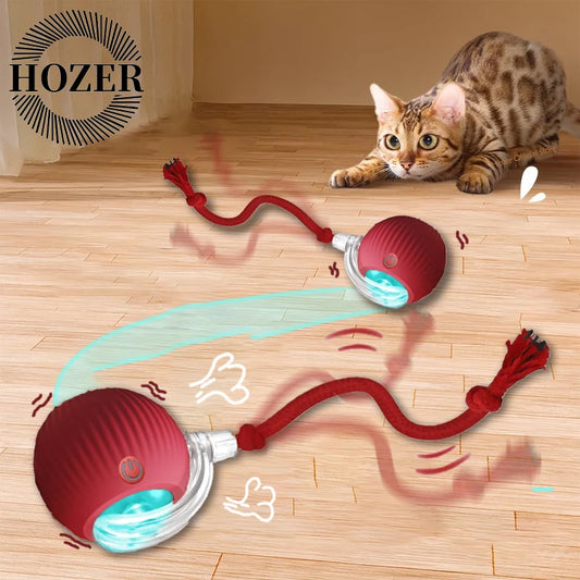 Interactive Rolling Ball Toy for Cats & Dogs