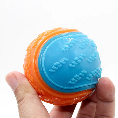 Squeaky Dog Chew Ball