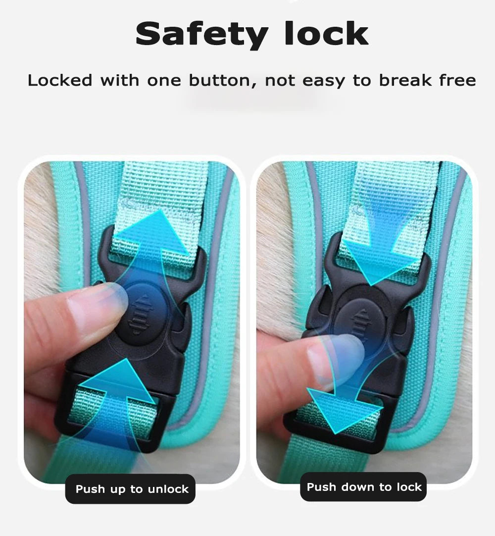 TrackSafe Harness & Lead Set with AirTag Holder