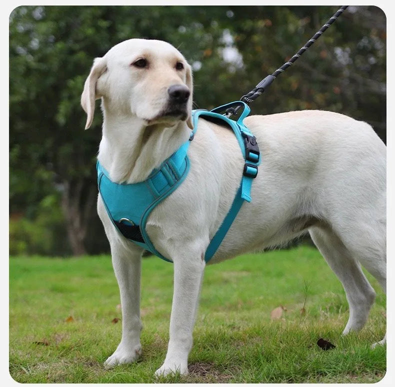 TrackSafe Harness & Lead Set with AirTag Holder