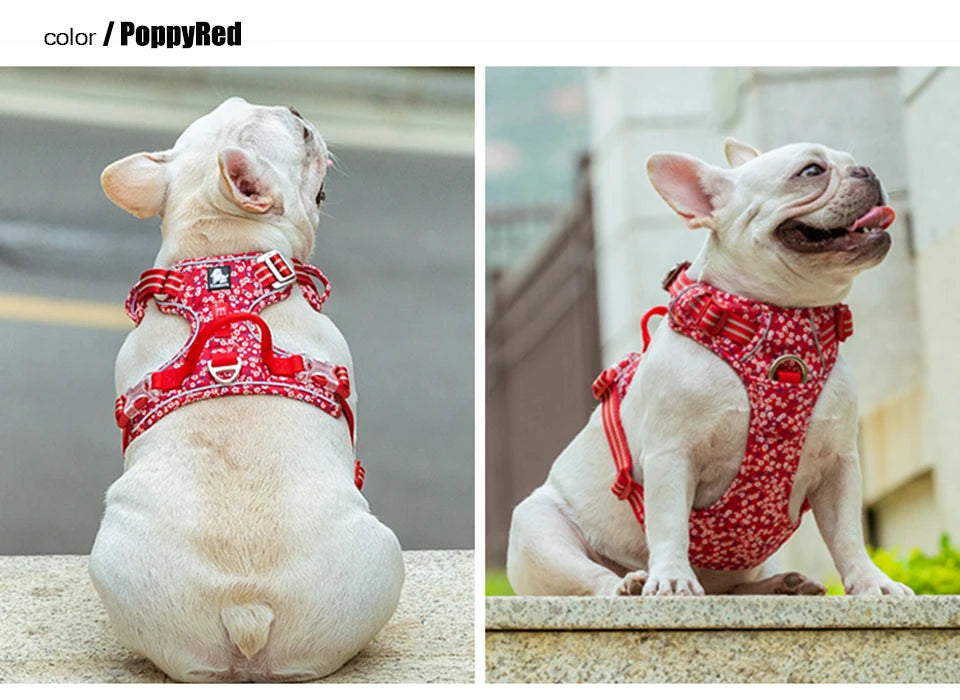 BloomTrail Floral No-Pull Dog Harness