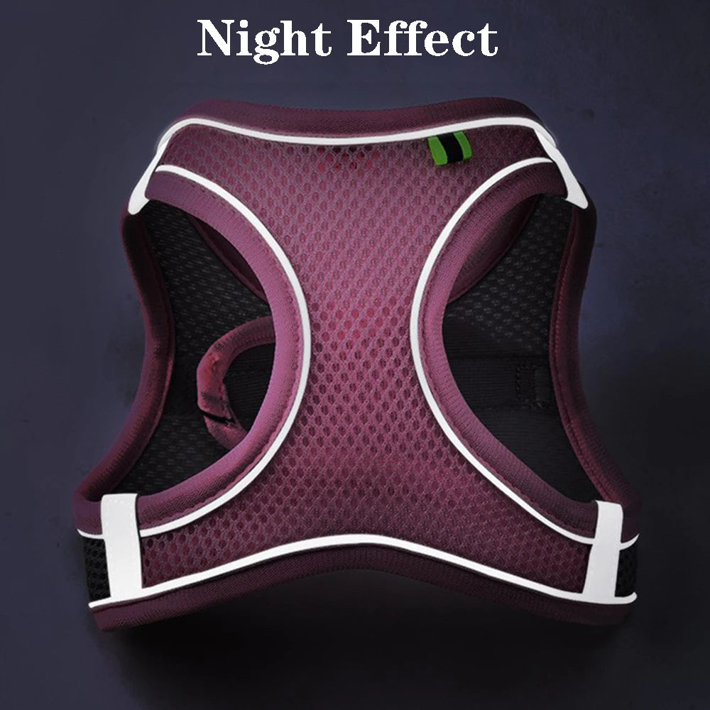 SafeStride Reflective Dog Harness