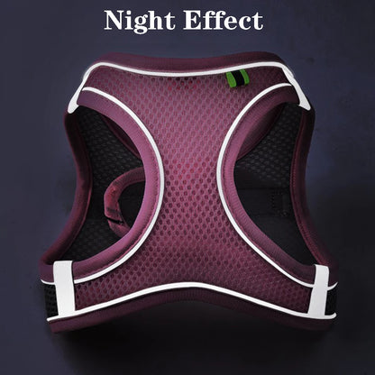 SafeStride Reflective Dog Harness