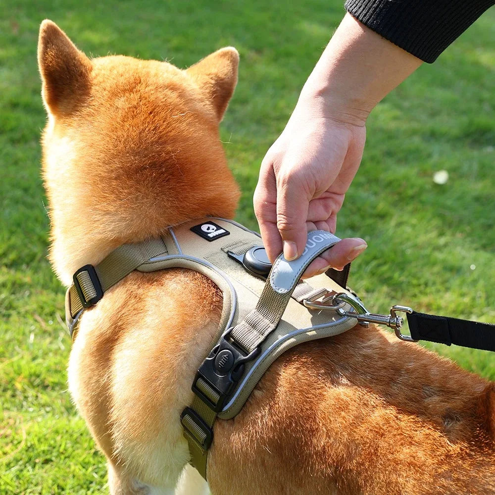 TrackSafe Harness & Lead Set with AirTag Holder
